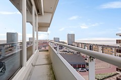 Passage 3 F31-17.jpg